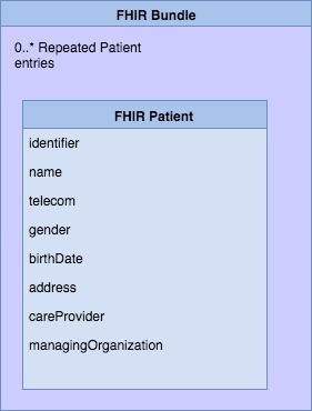 Patient in a FHIR Bundle